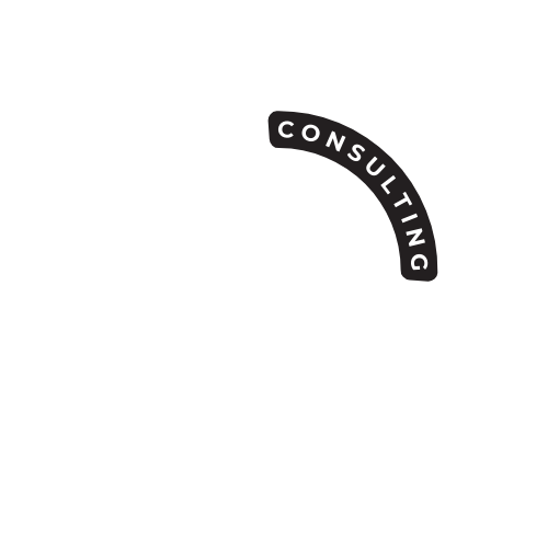 DS Consulting